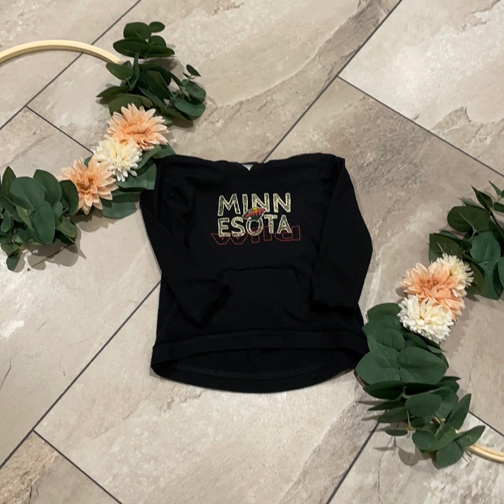 Minnesota Wild Hoodie